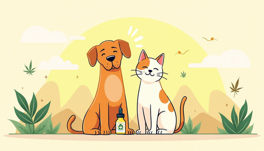 CBD CÃES GATOS CAÇA MEDO ALIVIAR MAFRENCHWEED LUZ