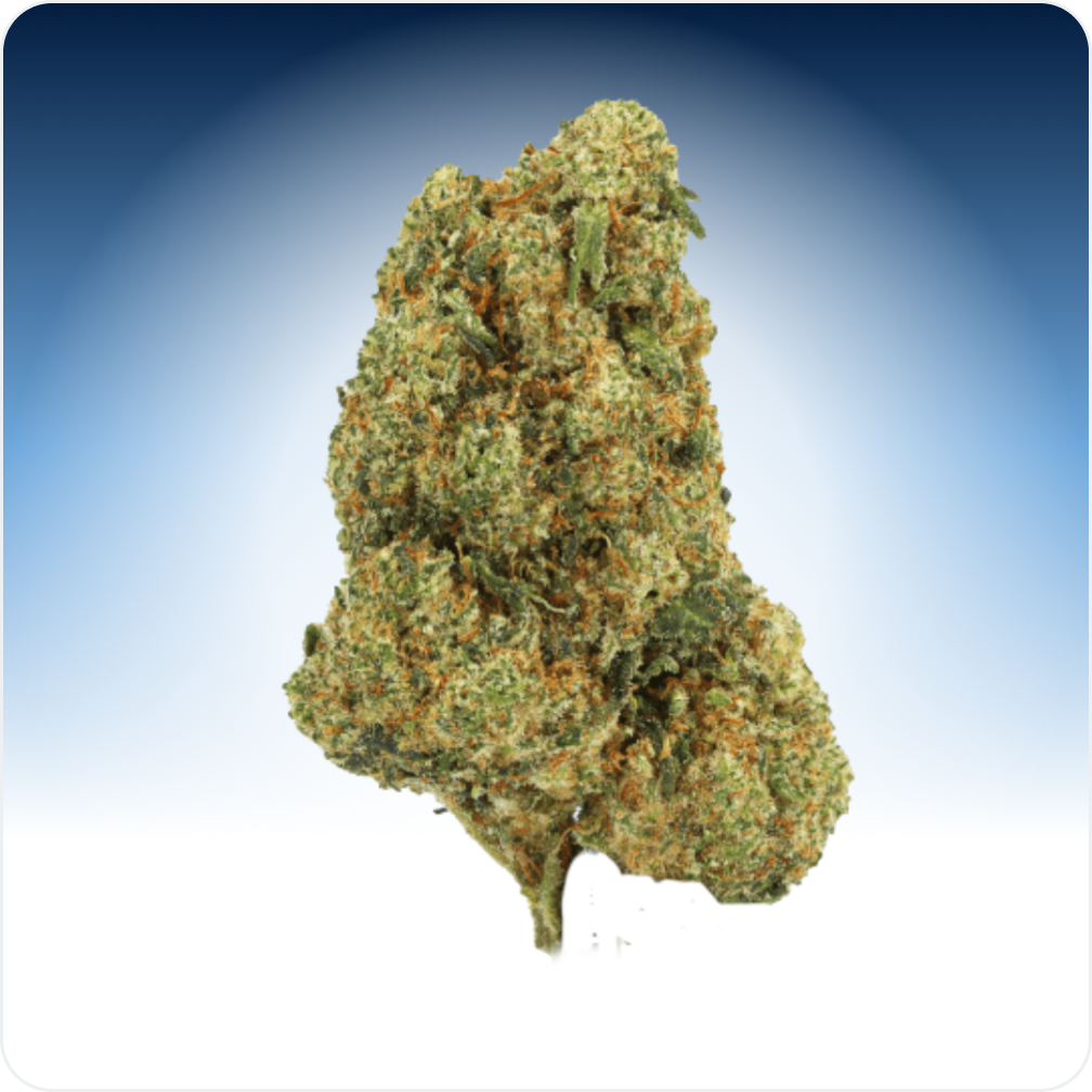Amnesia CBD