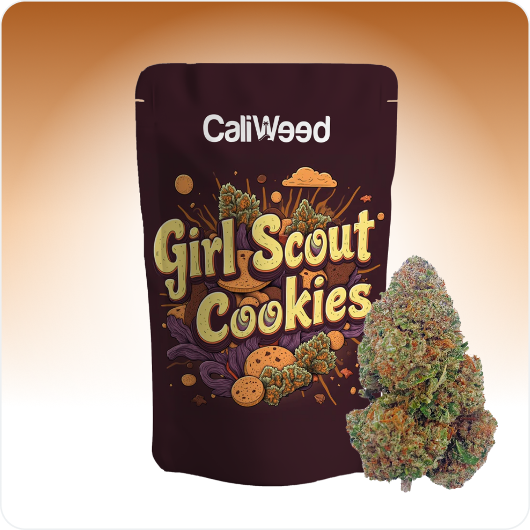 Biscoitos de escuteiras CBD