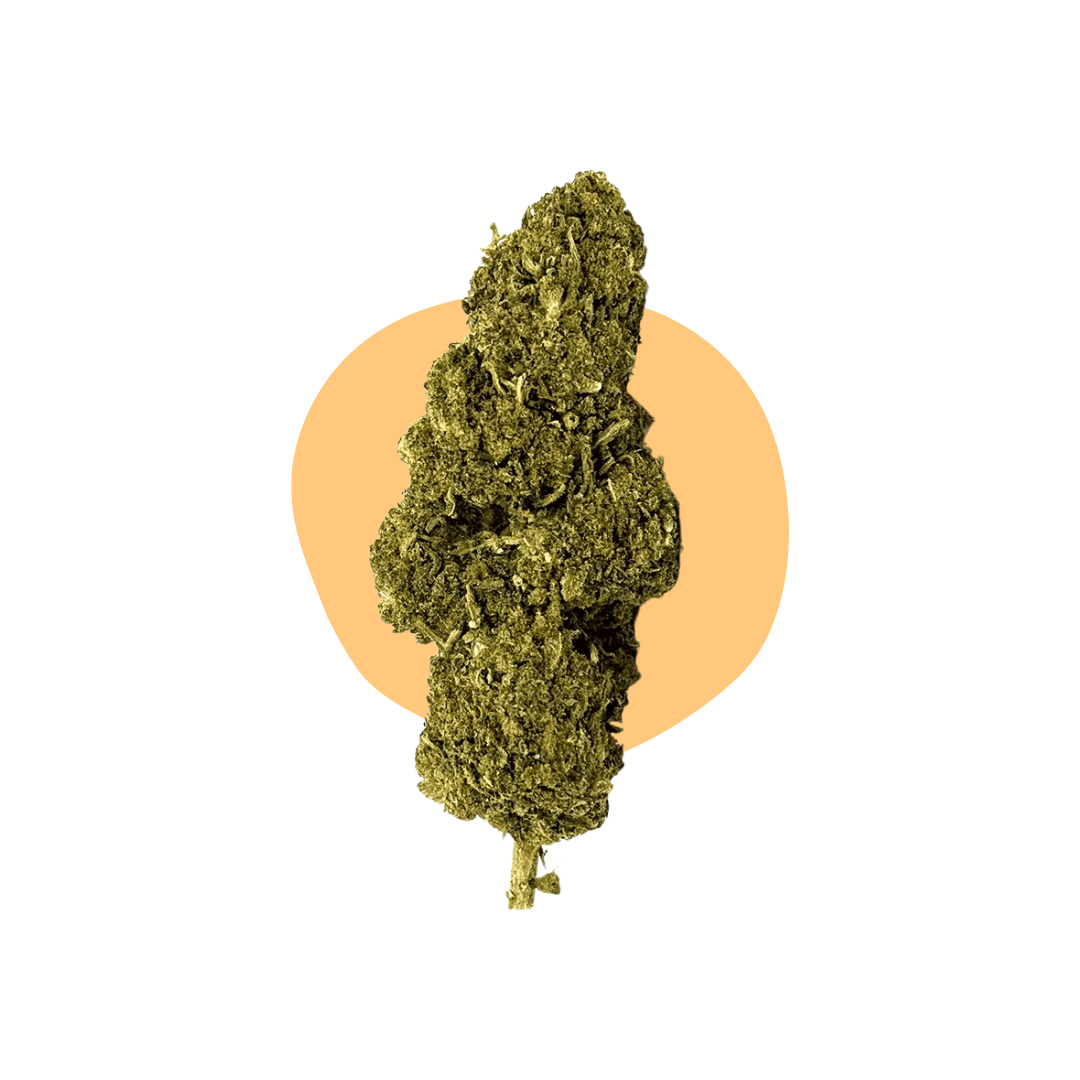 Manga Kush DELTA BZ10