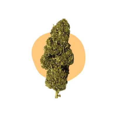 Manga Kush DELTA BZ10