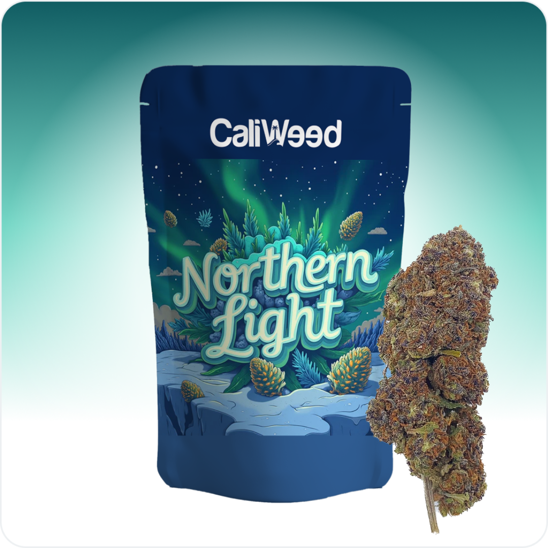 Luz do Norte Azul CBD