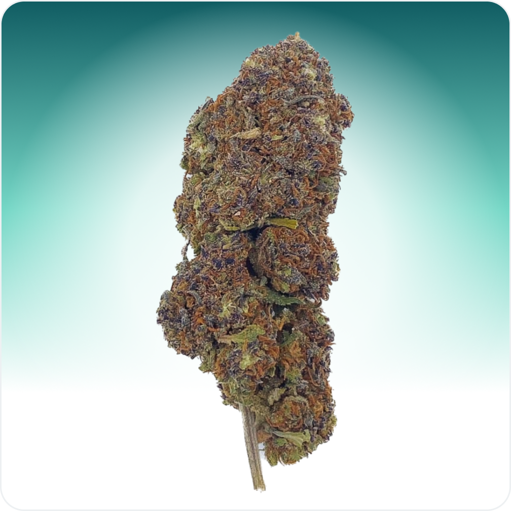 Luz do Norte Azul CBD