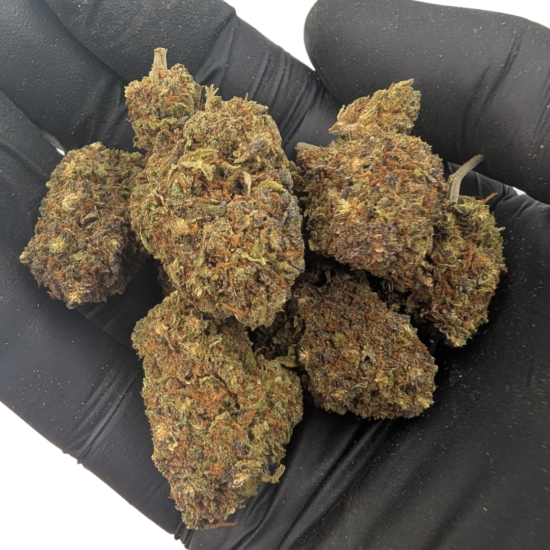 Luz do Norte Azul CBD