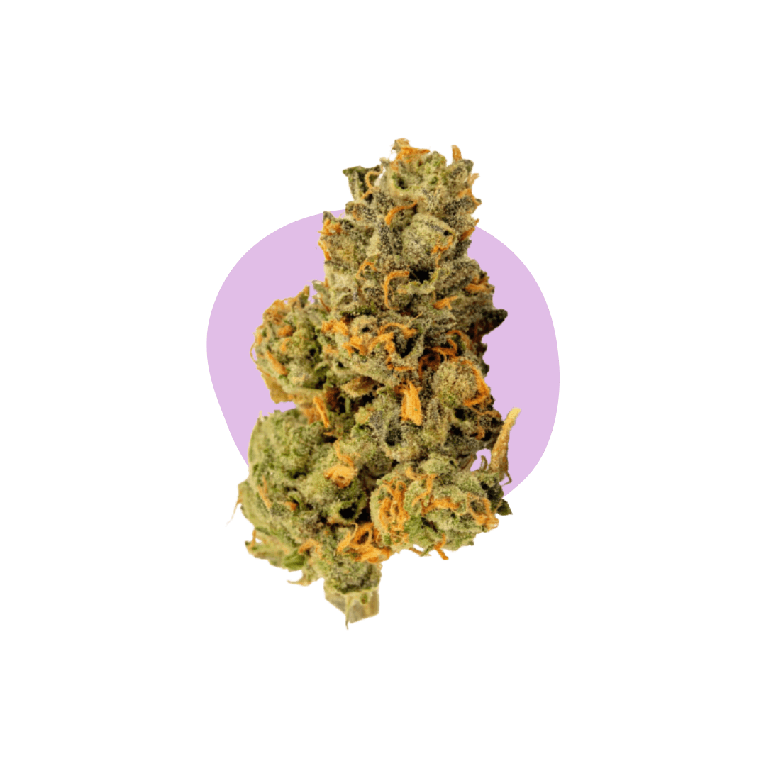 Runtz CBD