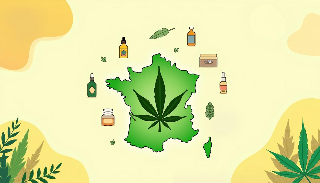 CBD em França