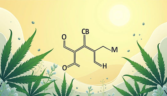 CANABIDIOL MAFRENCHWEED LIGHT