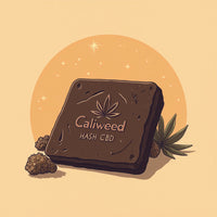 Haxixe CBD