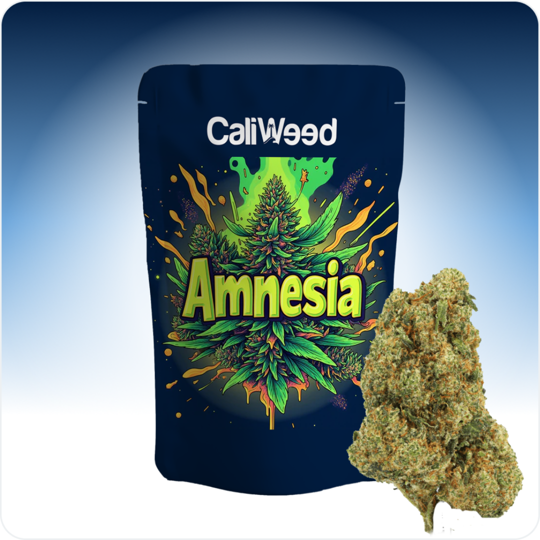 Amnesia CBD