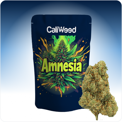 Amnesia CBD