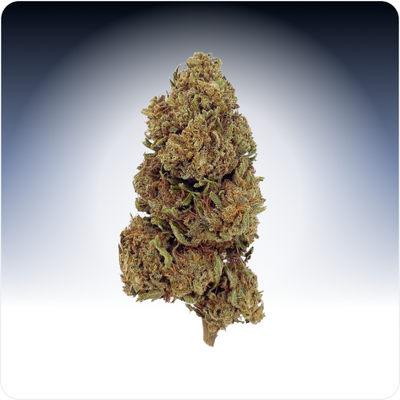Critical CBD