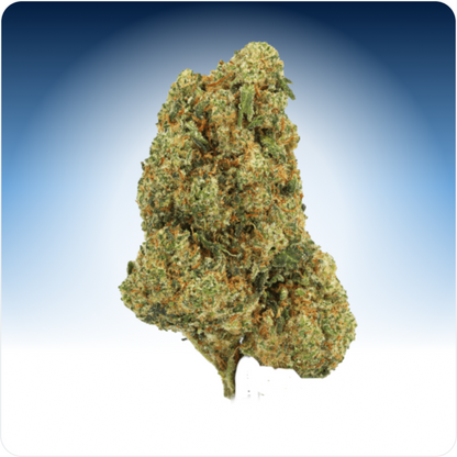 Amnesia CBD