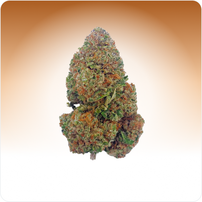 Biscoitos de escuteiras CBD