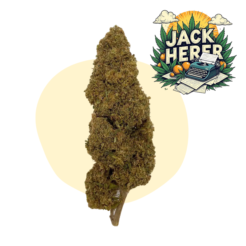 Jack Herer CBD