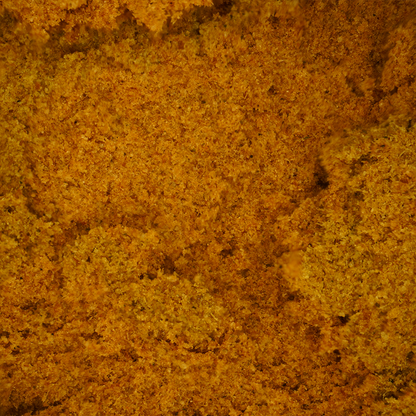 CBN Amarelo