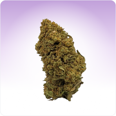 Mimosa CBD