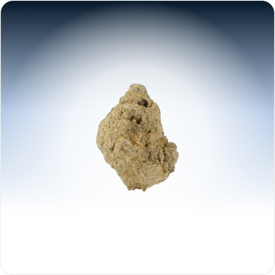 Flores pequenas Moonrock