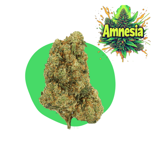 Amnésia CBD