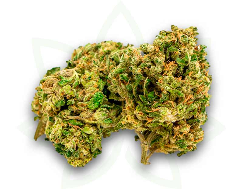 cbd nyc diesel indoor flower 3 5 10 20 50 gramas mafrenchweed 2