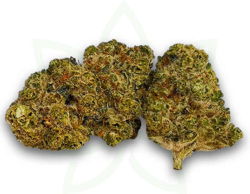 indoor cbd tangie flower 3 5 10 20 50 gramas mafrenchweed 1